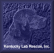 Kentucky Lab Rescue, Inc.