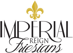 Imperial Reign Friesians