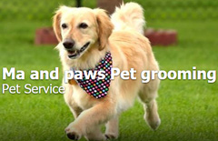 Ma and Paws Pet Grooming
