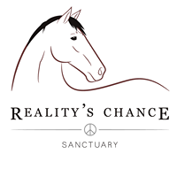Reality's Chance Rescue & Sanctuary