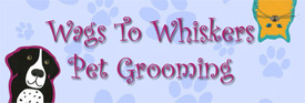 Wags To Whiskers Pet Grooming