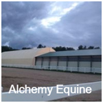 Alchemy Equine