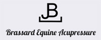 Brassard Equine Acupressure