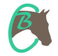 Britt's Corner Tack