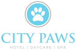 City Paws Pet Club