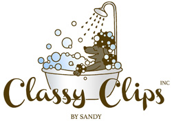 Classy Clips, Inc.