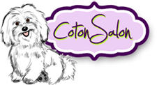 Coton Salon