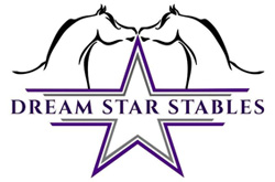 Dream Star Stables