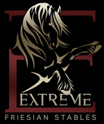 Extreme Friesian Stables