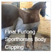 Final Furlong Sporthorses Body Clipping