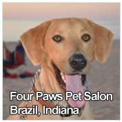 Four Paws Pet Salon