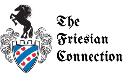 The Friesian Connection