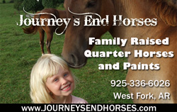 Journeys End Horses