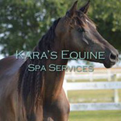 Kara's Equine Spa Services
