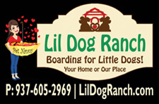 Lil Dog Ranch