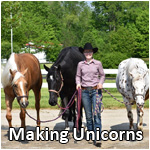 Making Unicorns