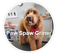 Paw Spaw Griner