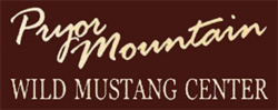 Pryor Mountain Wild Mustang Center