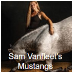 Sam Vanfleet's Mustangs