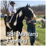 SBF Mustang Eventing