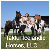 Taktur Icelandic Horses, LLC