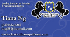 Classical Baroque Horse, LLC